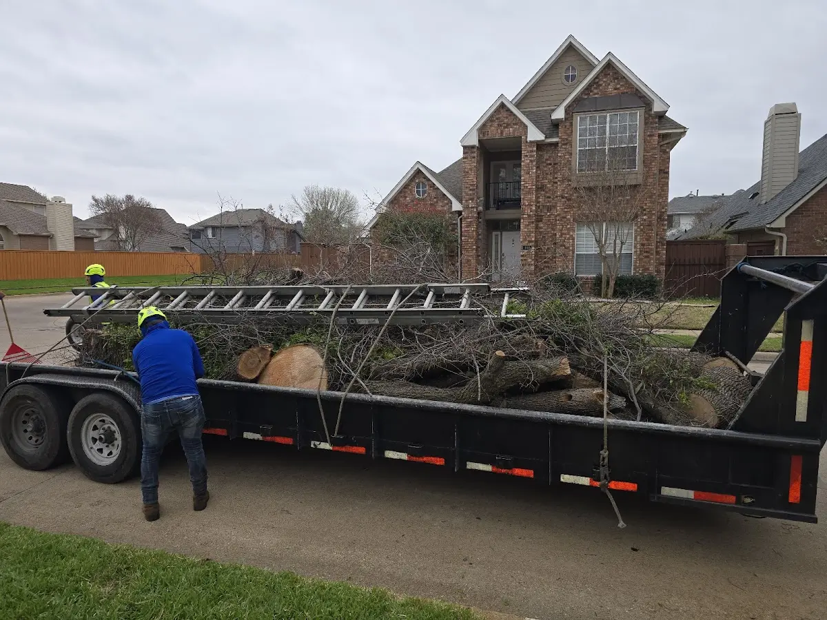 Expert Crown Reduction with proper safety equipment in Dannemora
